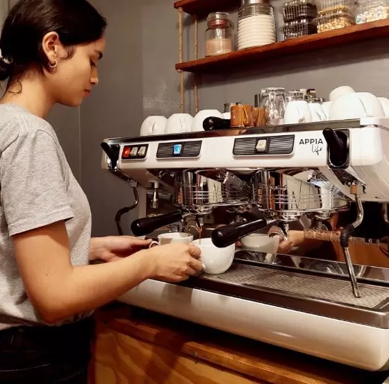 Profesionální dvoupákový kávovar appia life semiautomatický.